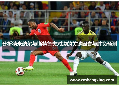 分析德米纳尔与斯特鲁夫对决的关键因素与胜负预测