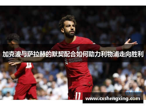 加克波与萨拉赫的默契配合如何助力利物浦走向胜利