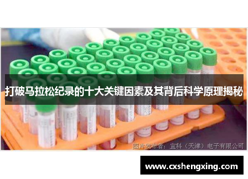 打破马拉松纪录的十大关键因素及其背后科学原理揭秘